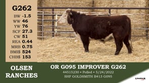 Lot #G262 - OR G095 IMPROVER G262