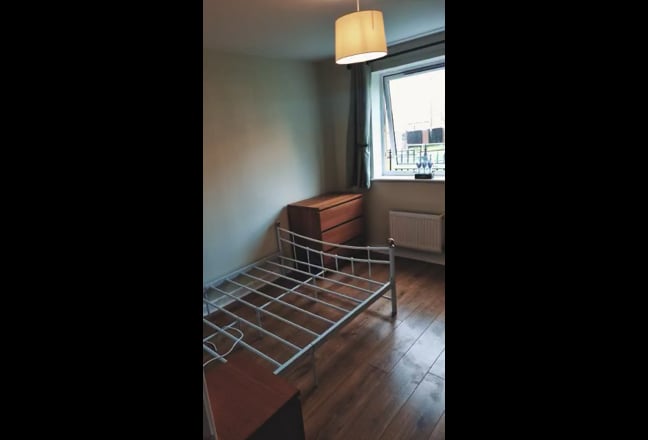 Video 1: Your bedroom (minus the dog)