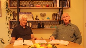 Gaza War Weekly Update