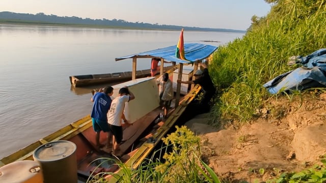 Use of the lizard through its management plan and good practices in the Tacana territory