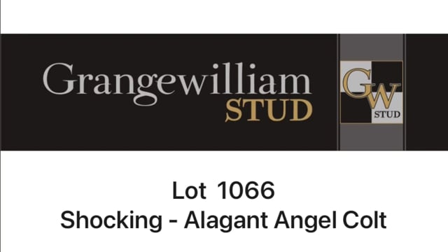 Lot 1066