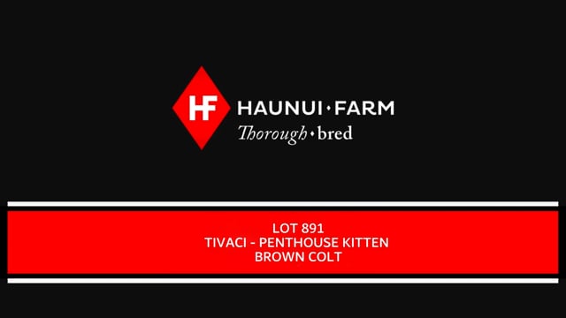 Lot 891