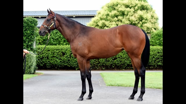 Lot 943