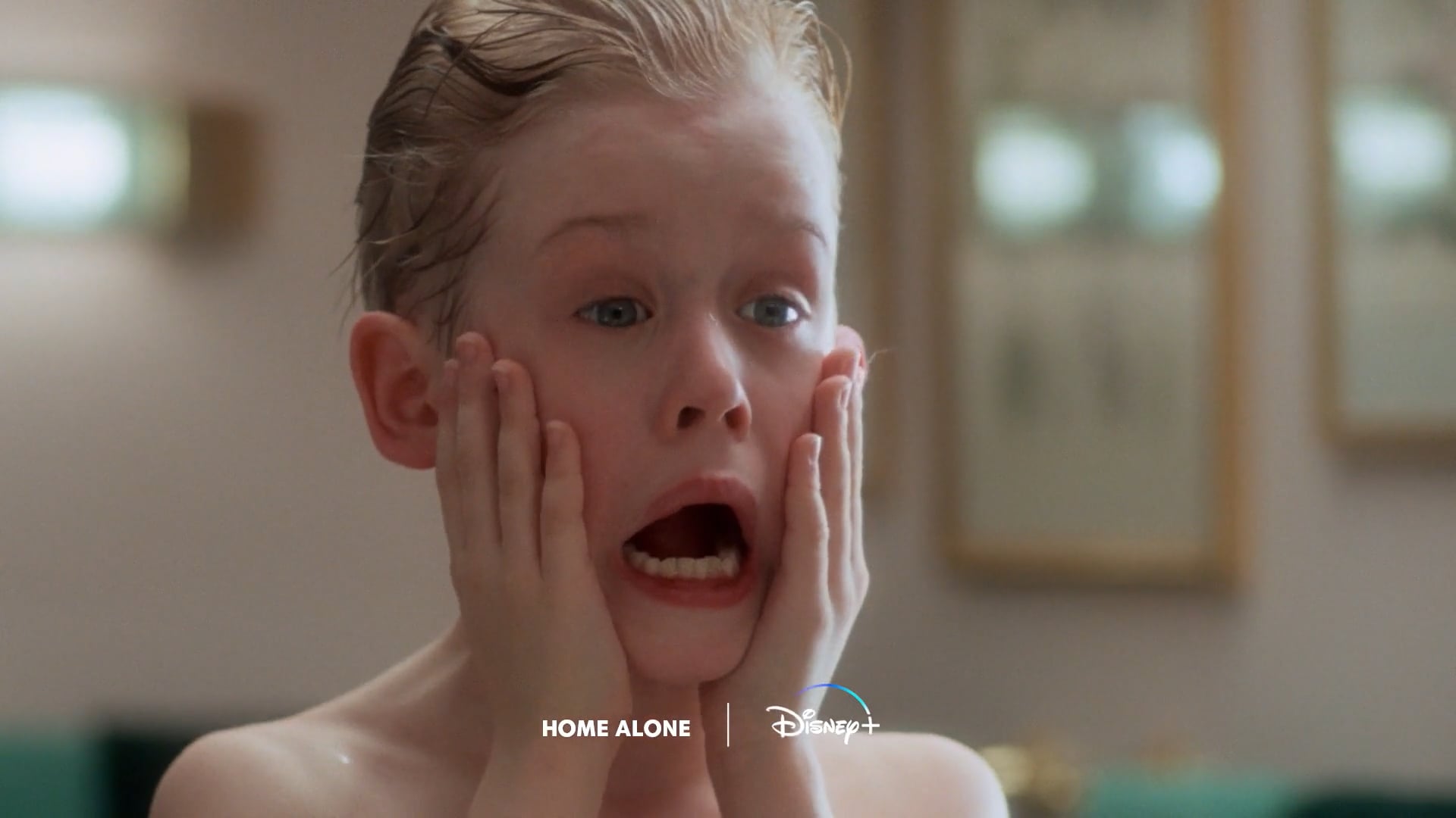 D+ Bundle "Holiday Sounds"