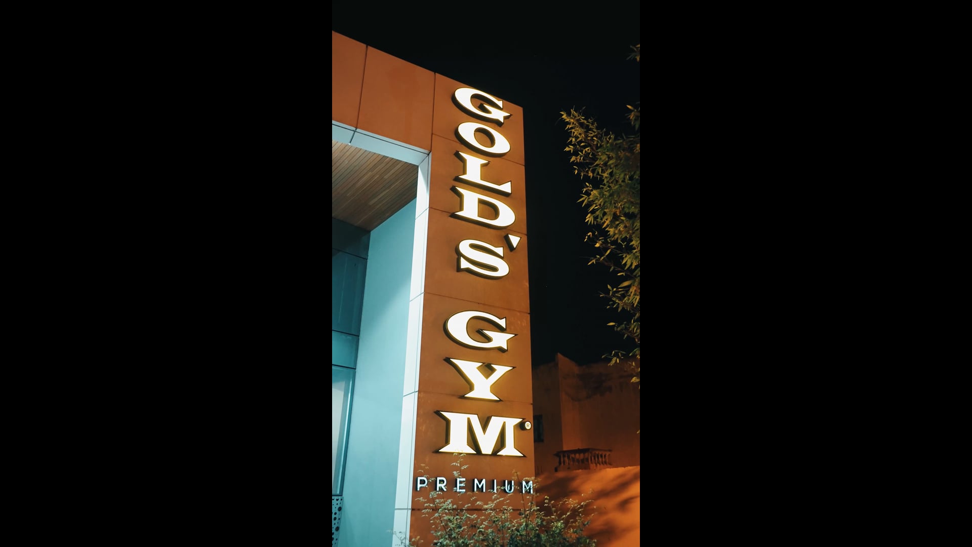 GOLD'S GYM 2