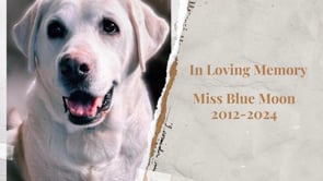 Loving Memory of Miss Blue Moon