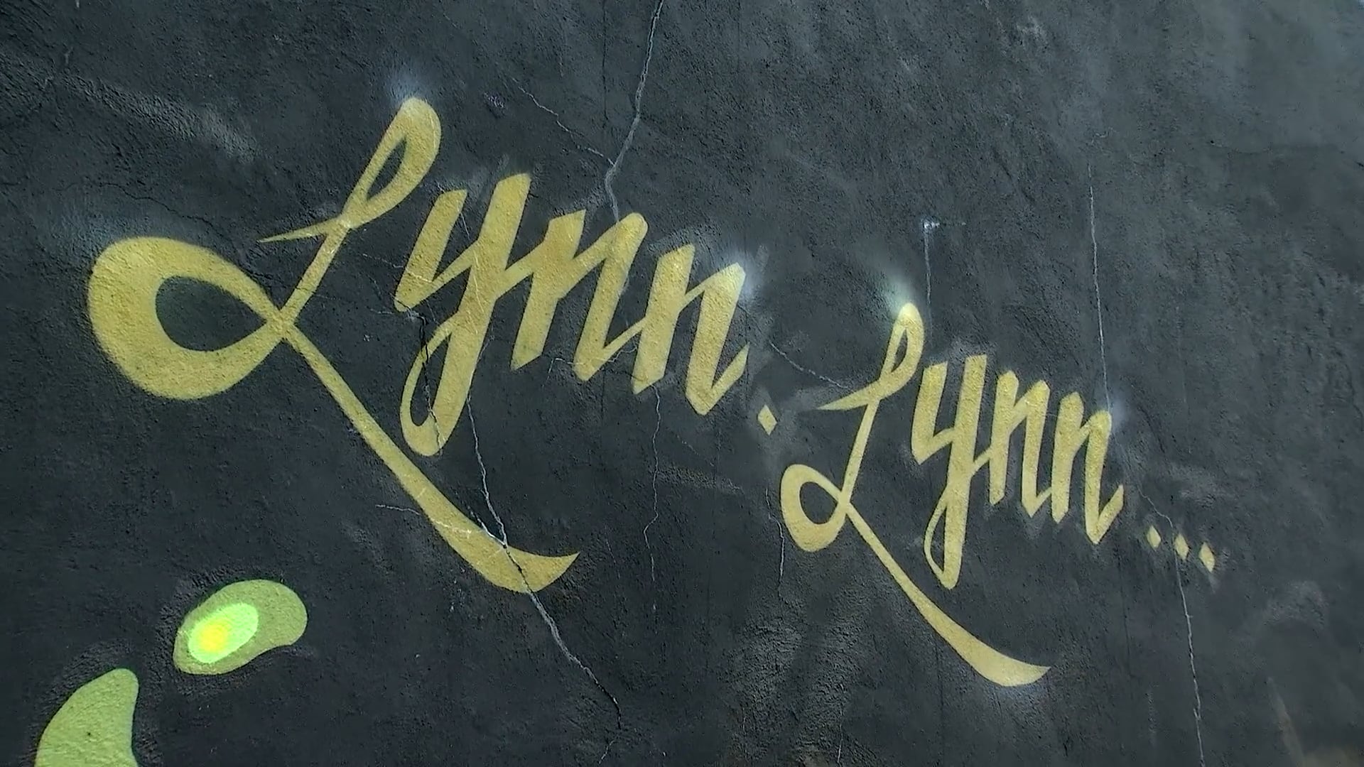 Lynn Rhyme or Reason