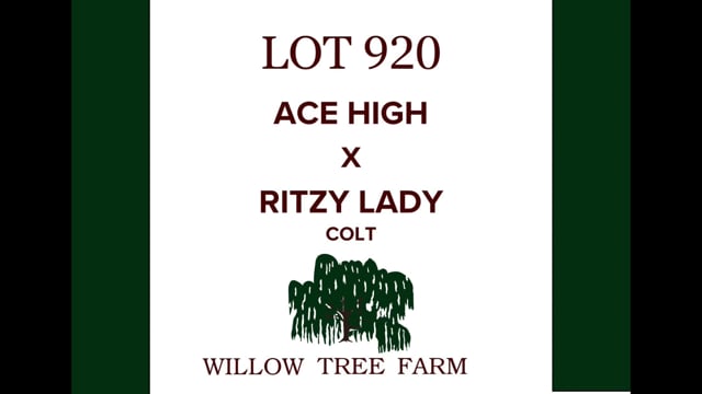 Lot 920