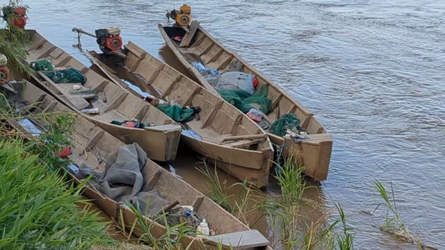 Fishing as a livelihood at the Beni river