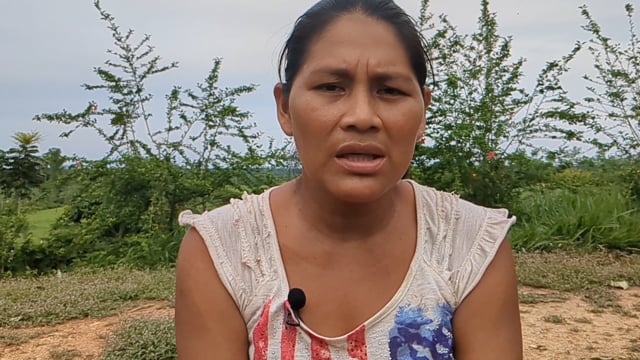 Elaboración de aceites esenciales por mujeres T’simanes en San José de Canaán