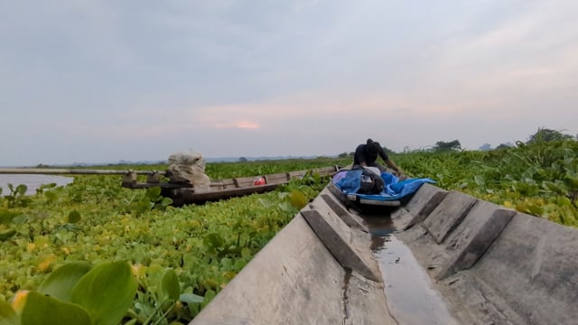 Puntos de reproducción de peces