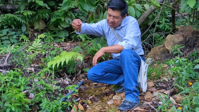Ojos de Agua del territorio Tacana