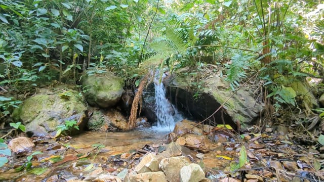Community Water Management in Tumupasa