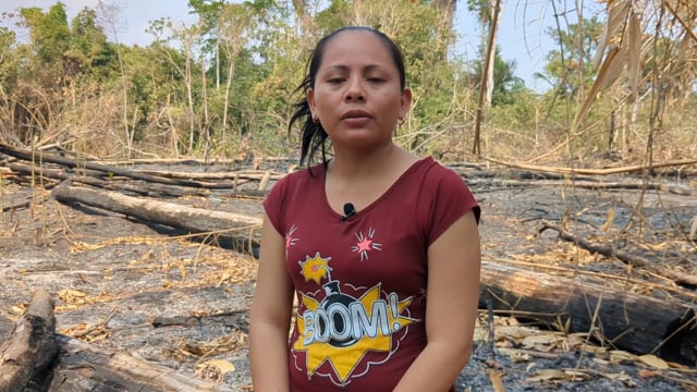 Environmental pollution due to fires in beautiful height