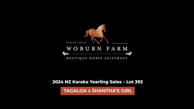 Lot 392