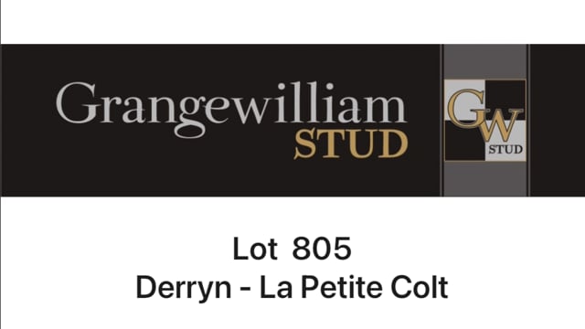 Lot 805