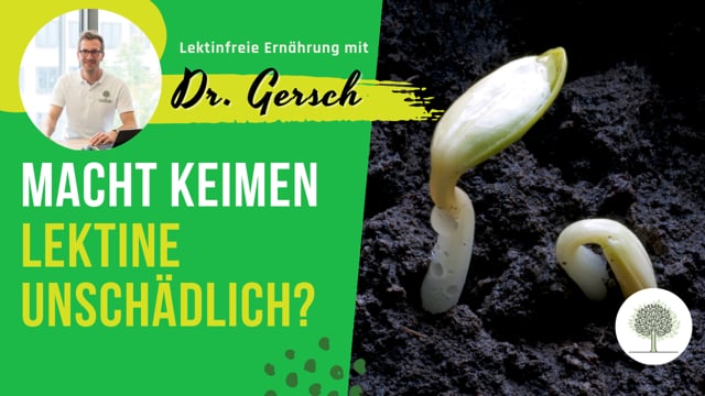 Macht Keimen Lektine unschädlich? 