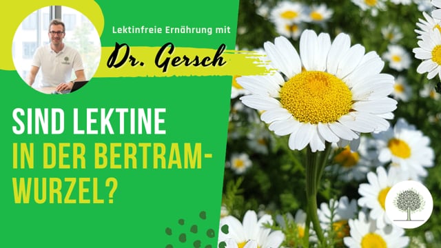 Enthält die Bertramwurzel Lektine? 