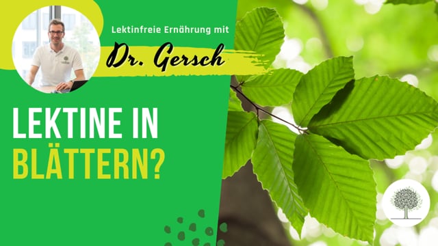 Lektine in Blättern? 