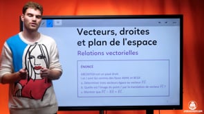 video : relations-vectorielles-4114