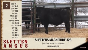 Lot #2 - SLETTENS MAGNITUDE 328