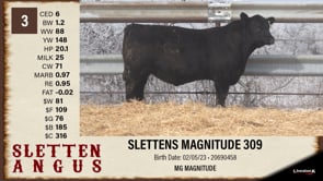 Lot #3 - SLETTENS MAGNITUDE 309