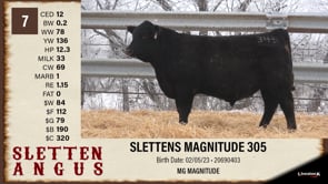 Lot #7 - SLETTENS MAGNITUDE 305