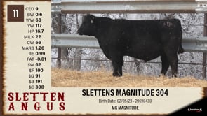 Lot #11 - SLETTENS MAGNITUDE 304