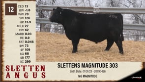 Lot #12 - SLETTENS MAGNITUDE 303
