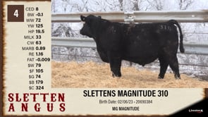 Lot #4 - SLETTENS MAGNITUDE 310