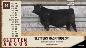 Lot #14 - SLETTENS MAGNITUDE 341
