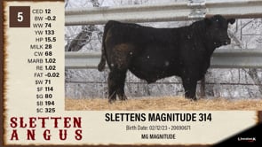 Lot #5 - SLETTENS MAGNITUDE 314
