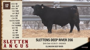 Lot #17 - SLETTENS DEEP RIVER 356