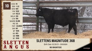 Lot #10 - SLETTENS MAGNITUDE 368