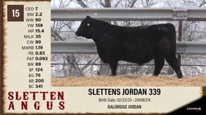 Lot #15 - SLETTENS JORDAN 339