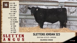 Lot #16 - SLETTENS MAGNITUDE 323