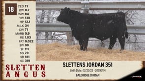 Lot #18 - SLETTENS MAGNITUDE