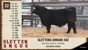 Lot #22 - SLETTENS MAGNITUDE 342