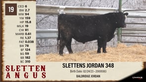 Lot #19 - SLETTENS MAGNITUDE 348