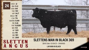 Lot #24 - SLETTENS MAN IN BLACK 369