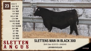 Lot #23 - SLETTENS MAN IN BLACK 300