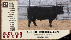 Lot #27 - SLETTENS MAN IN BLACK 321