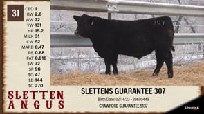 Lot #31 - SLETTENS GUARANTEE 307