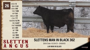 Lot #26 - SLETTENS MAN IN BLACK 362
