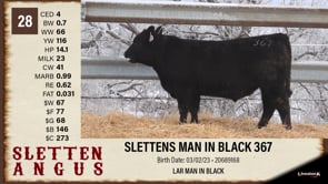 Lot #28 - SLETTENS MAN IN BLACK 367