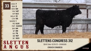 Lot #33 - SLETTENS CONGRESS 312