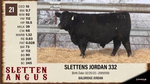 Lot #21 - SLETTENS MAGNITUDE 332
