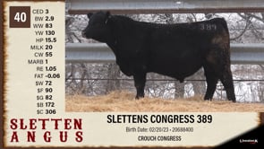 Lot #40 - SLETTENS CONGRESS 389