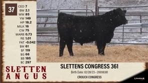 Lot #37 - SLETTENS CONGRESS 361