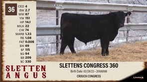 Lot #36 - SLETTENS CONGRESS 360